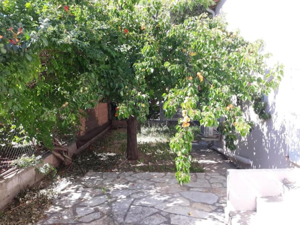 Le Galli En Plein Coeur De Sanary Екстериор снимка